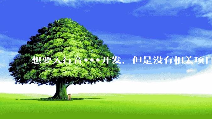 想要入行音***开发，但是没有相关项目经验怎么办？