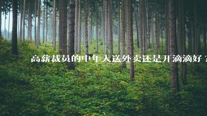 高薪裁员的中年人送外卖还是开滴滴好?