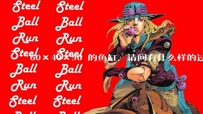 60×40×50 的鱼缸，请问有什么样的过滤器好用呢？