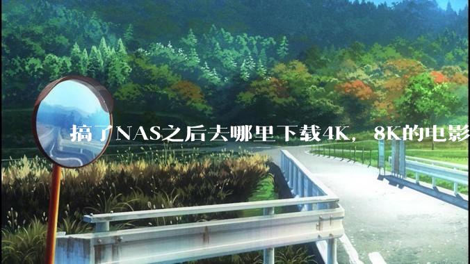 搞了NAS之后去哪里下载4K，8K的电影？