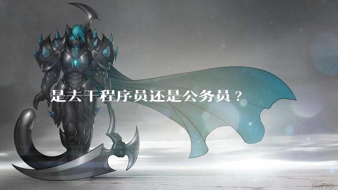 是去干程序员还是公务员?
