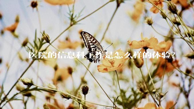 医院的信息科工作是怎么样的体验？