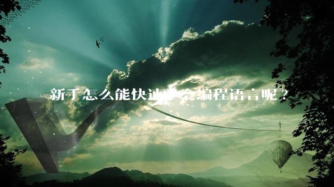 新手怎么能快速学会编程语言呢?