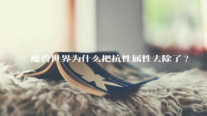 魔兽世界为什么把抗性属性去除了?