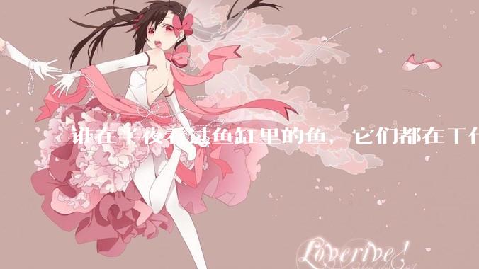 谁在半夜看过鱼缸里的鱼，它们都在干什么？