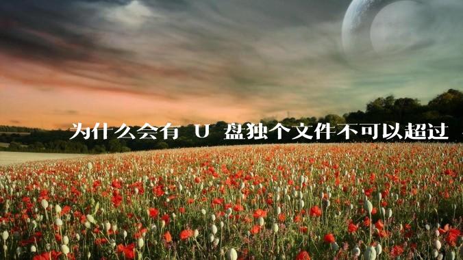 为什么会有 U 盘独个文件不可以超过 4GB 这种设定？